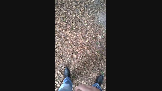publicexib1 12-06-2024 Recorded Video squirt