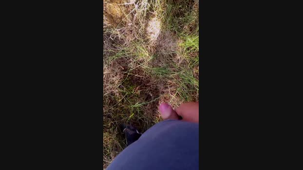 Alphanesis 12-06-2024 Recorded Video play