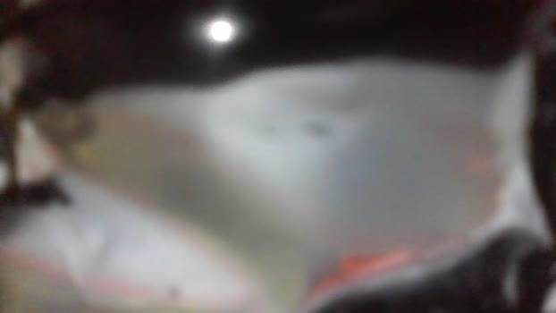 AriSiiilva 13-06-2024 Recorded Video lovense