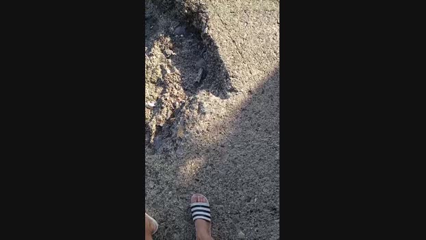 Bullypoy 12-06-2024 Recorded Video Download
