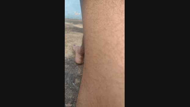 Coringamau 13-06-2024 Recorded Video handsome
