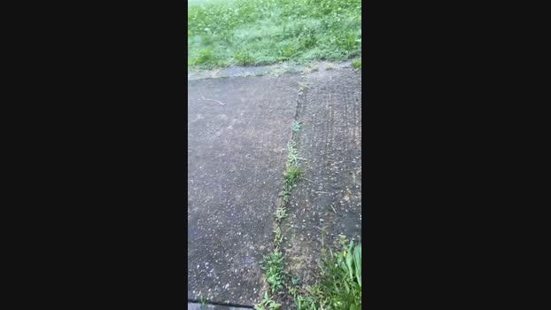 ItalyManV 13-06-2024 Recorded Video suck