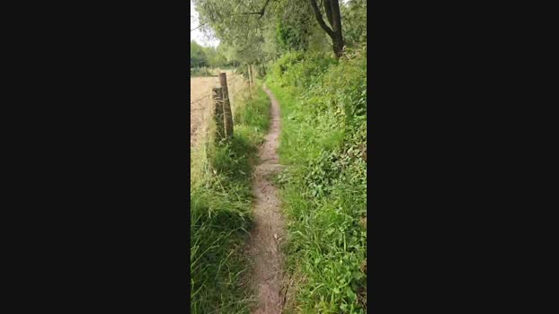 monsterlover 13-06-2024 Recorded Video beauty