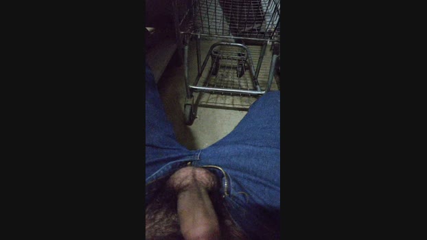 novinhosafado63
