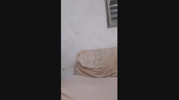 NovinhoDotVst 14-06-2024 Recorded Video nasty