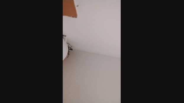 carp36 14-06-2024 Recorded Video Ass