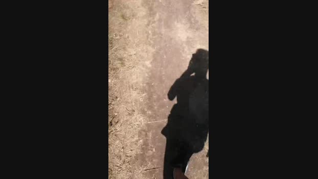 stefan519 14-06-2024 Recorded Video moan