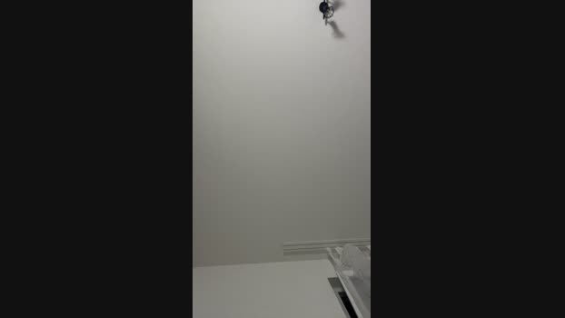ThorOdinson03 15-06-2024 Recorded Video bigass