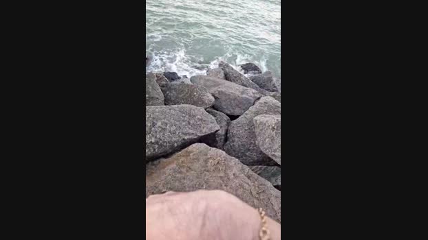 Vanluiz28 14-06-2024 Recorded Video bigcock