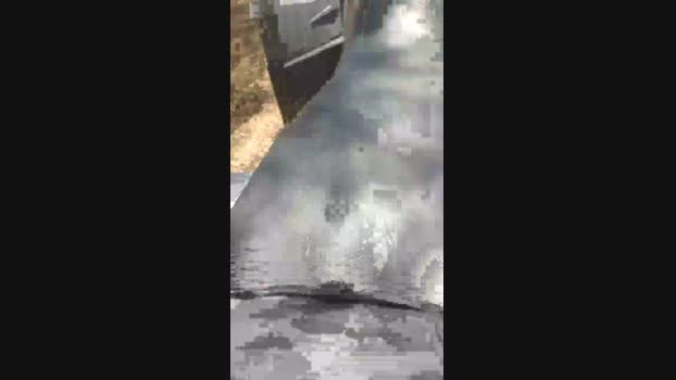 polli_play 15-06-2024 Recorded Video dirty