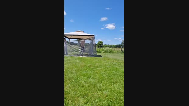 4_Fox_sakes 15-06-2024 Recorded Video cute