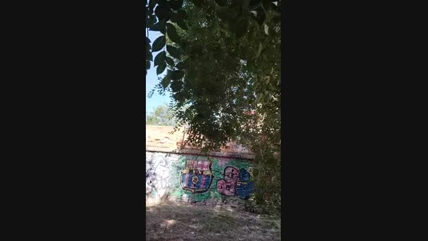 DAVIDBIGKOCK 16-06-2024 Recorded Video kiss