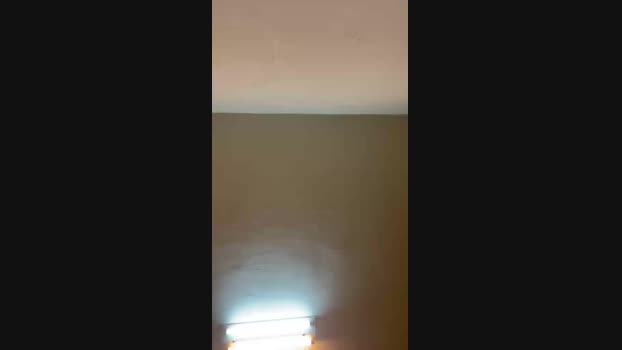 Foxfoxfox 15-06-2024 Recorded Video fuckme