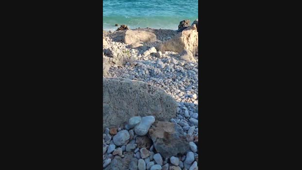 andreas_ath 15-06-2024 Recorded Video amateur