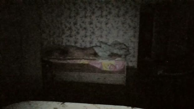 paren_ 16-06-2024 Recorded Video strip