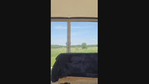 4_Fox_sakes 17-06-2024 Recorded Video jerkoff