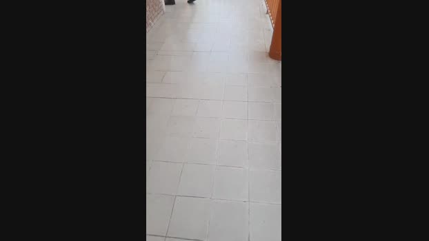 Dgo_Pi 17-06-2024 Recorded Video strip