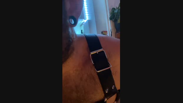 HairyGuy06 18-06-2024 Recorded Video hardcore