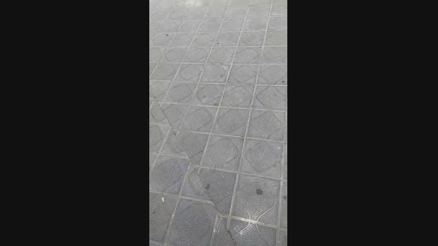 Capitan_salami1 19-06-2024 Recorded Video amateur