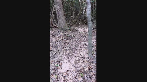Coxk 19-06-2024 Recorded Video Pretty
