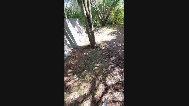 Horny_cruising 18-06-2024 Recorded Video Porn