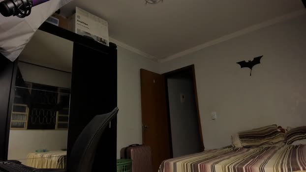 sexyflightz 19-06-2024 Recorded Video Video