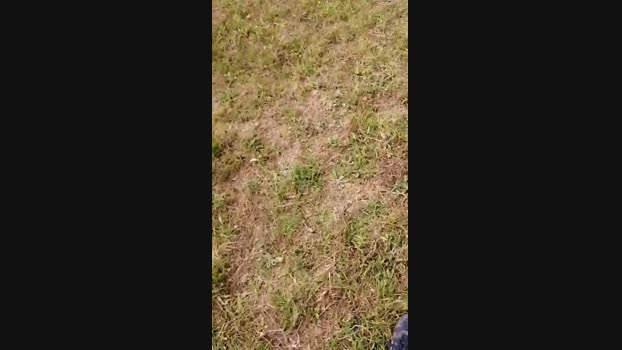 stefan519 19-06-2024 Recorded Video jackoff