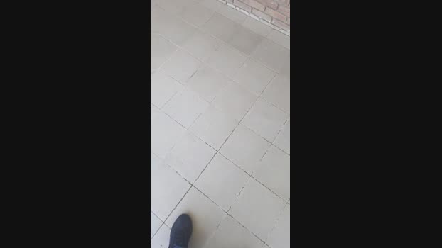 Dgo_Pi 19-06-2024 Recorded Video wank