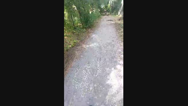 Horny_cruising 19-06-2024 Recorded Video Show