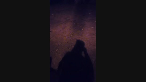 Bear_Baby 20-06-2024 Recorded Video play