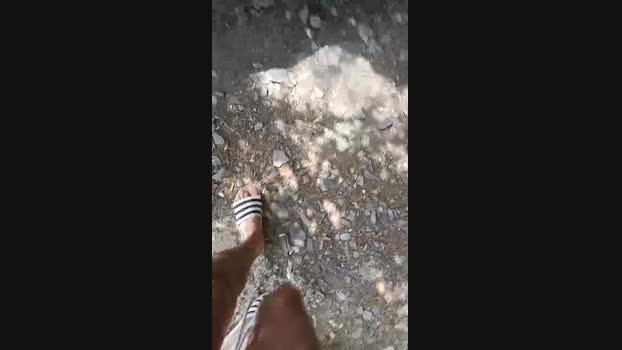 Bullypoy 21-06-2024 Recorded Video ass