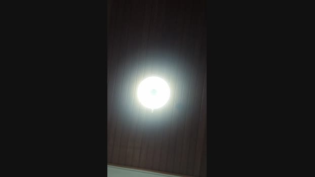 Doperman 21-06-2024 Recorded Video kinky