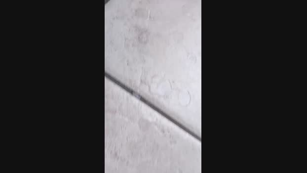 Elettricistaa 22-06-2024 Recorded Video Porn