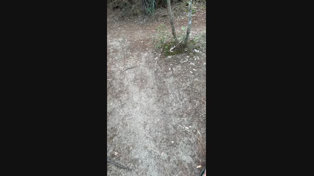 JOREDD 23-06-2024 Recorded Video handsome