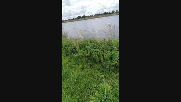 Zeigegeiler69 23-06-2024 Recorded Video harddick