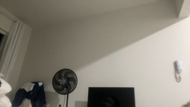 Catman88 24-06-2024 Recorded Video moan