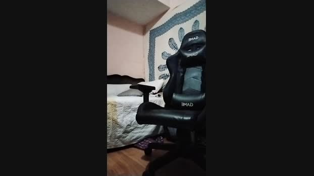 Dogtrainingay 24-06-2024 Recorded Video big