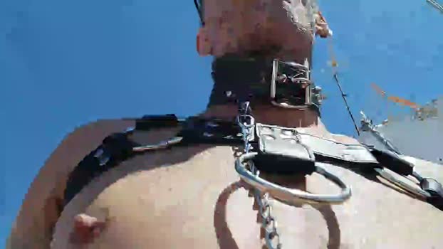 Dogtrainingay 24-06-2024 Recorded Video sexy