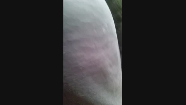 Doperman 23-06-2024 Recorded Video Topless