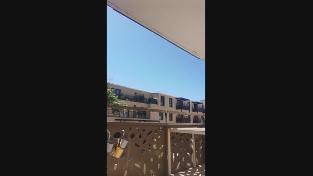 PiccoloBianco 24-06-2024 Recorded Video big