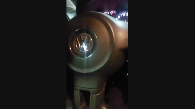 Elcama22 25-06-2024 Recorded Video Pretty