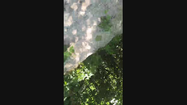 Endi7777 25-06-2024 Recorded Video hot