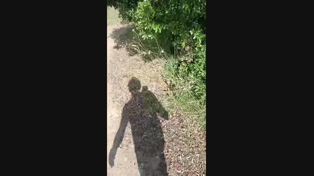 Gastea1 25-06-2024 Recorded Video orgasm