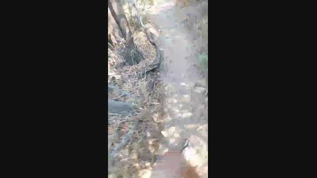 Horny_cruising 24-06-2024 Recorded Video toys