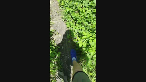 Minipic 25-06-2024 Recorded Video wank
