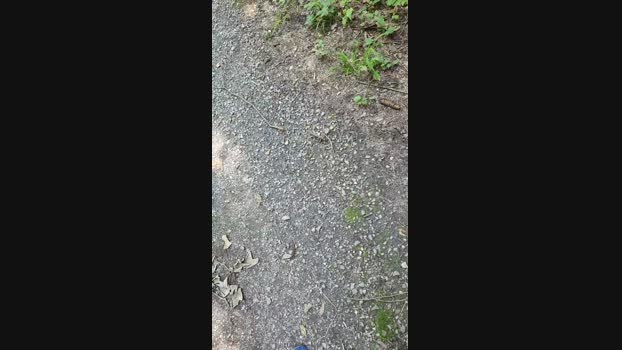 Minipic 25-06-2024 Recorded Video kinky