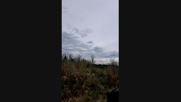 TripContePorn 25-06-2024 Recorded Video jerking