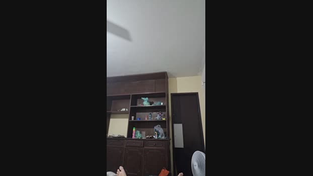 Vanluiz28 25-06-2024 Recorded Video fuckher