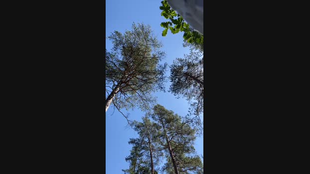 stefanoeverlan1 25-06-2024 Recorded Video suck