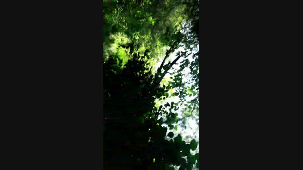 Voldemort86 26-06-2024 Recorded Video jackoff